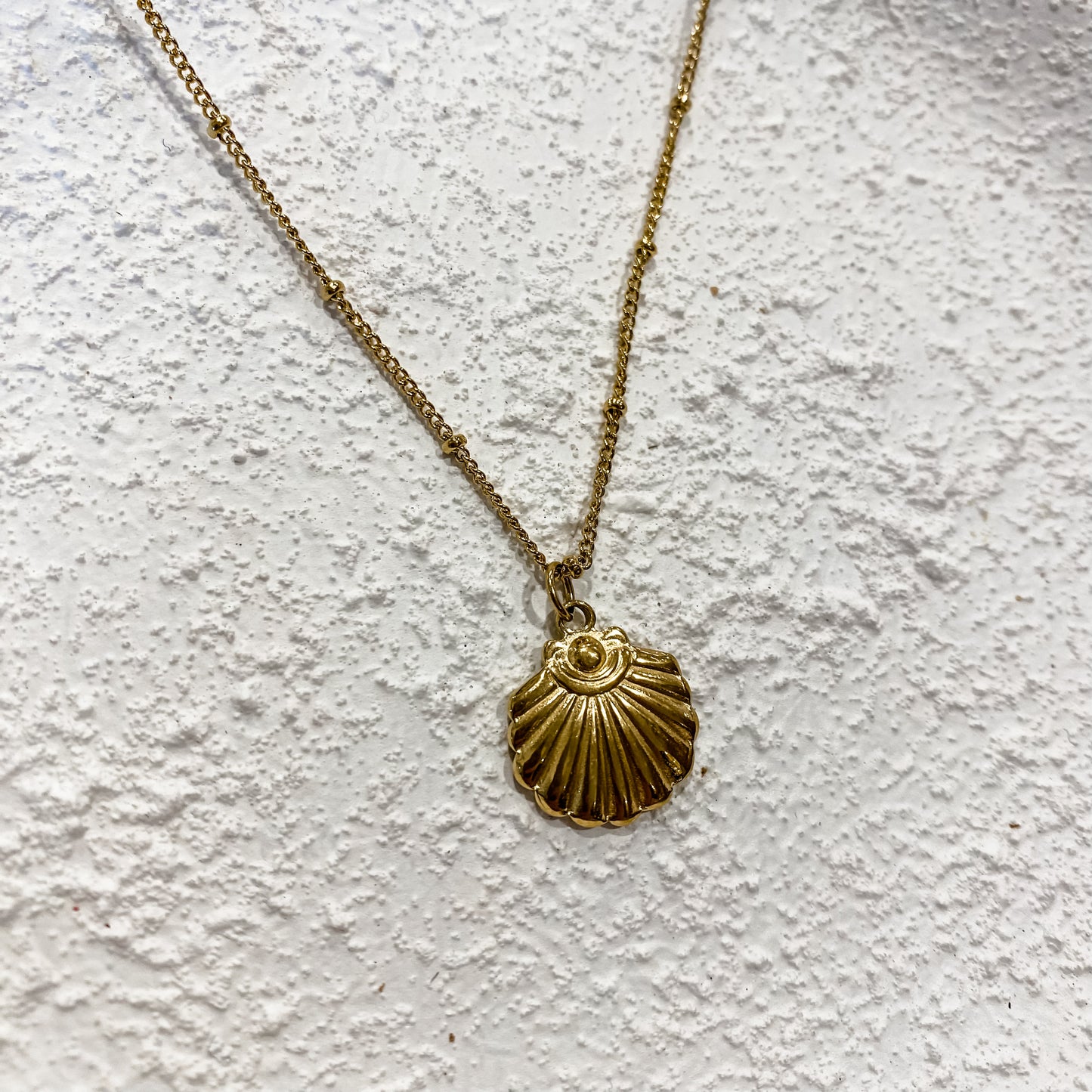 Shell - Gold Stainless Steel Necklace
