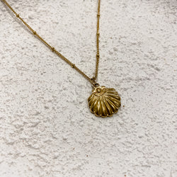 Shell - Gold Stainless Steel Necklace
